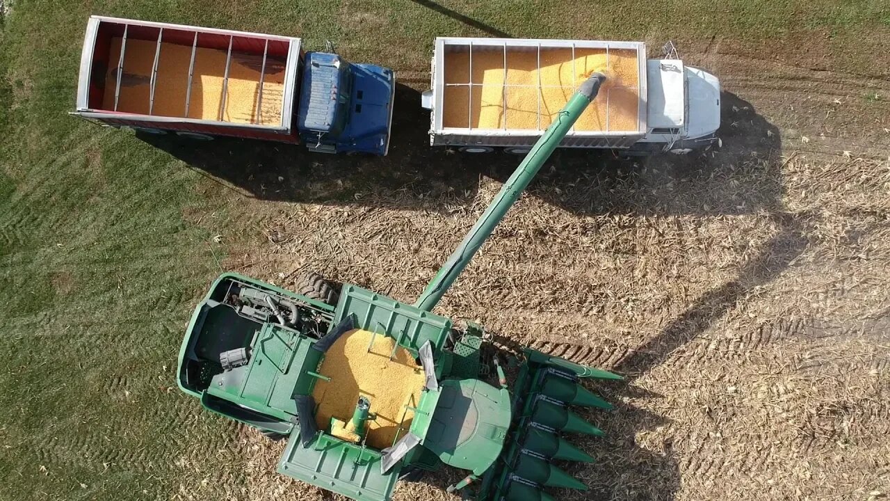 Corn Harvest at Wishwell Farms - Sights and Sounds