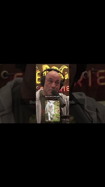 Lamb is very good for you