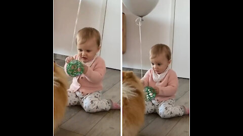 Baby has adorable reaction to new puppy addition
