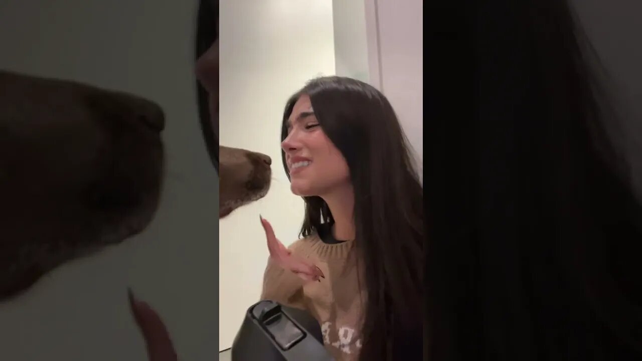 dog is a paid actor Video By charlidamelio #Shorts