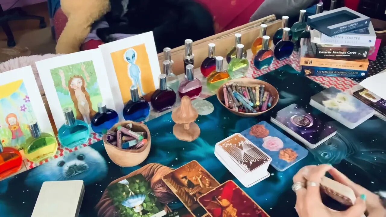 Mini Reading for the Collective Tuesday 6/9/2022