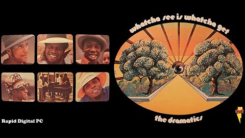 The Dramatics - Whatcha See Is Whatcha Get - Vinyl 1971