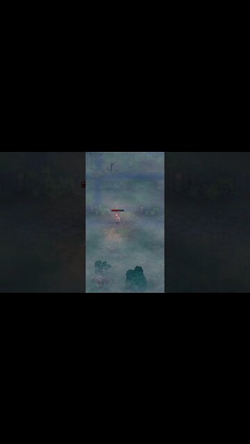 graveyard keeper we apparently old bridge to the swamp going to meet the witch