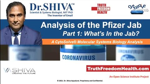 Pfizer Jab Analysis: What's in It? Part 1. CytoSolve Open Science Project.