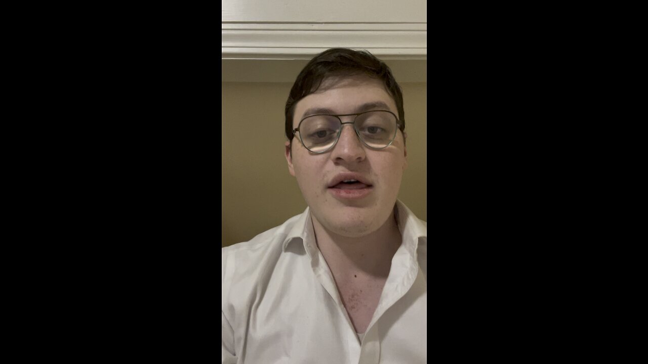 My animal on Paramount plus. the definitive review