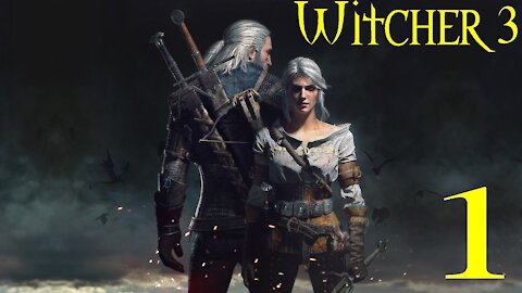 Witcher 3 The Wild Hunt (Lilac and Goosberry)