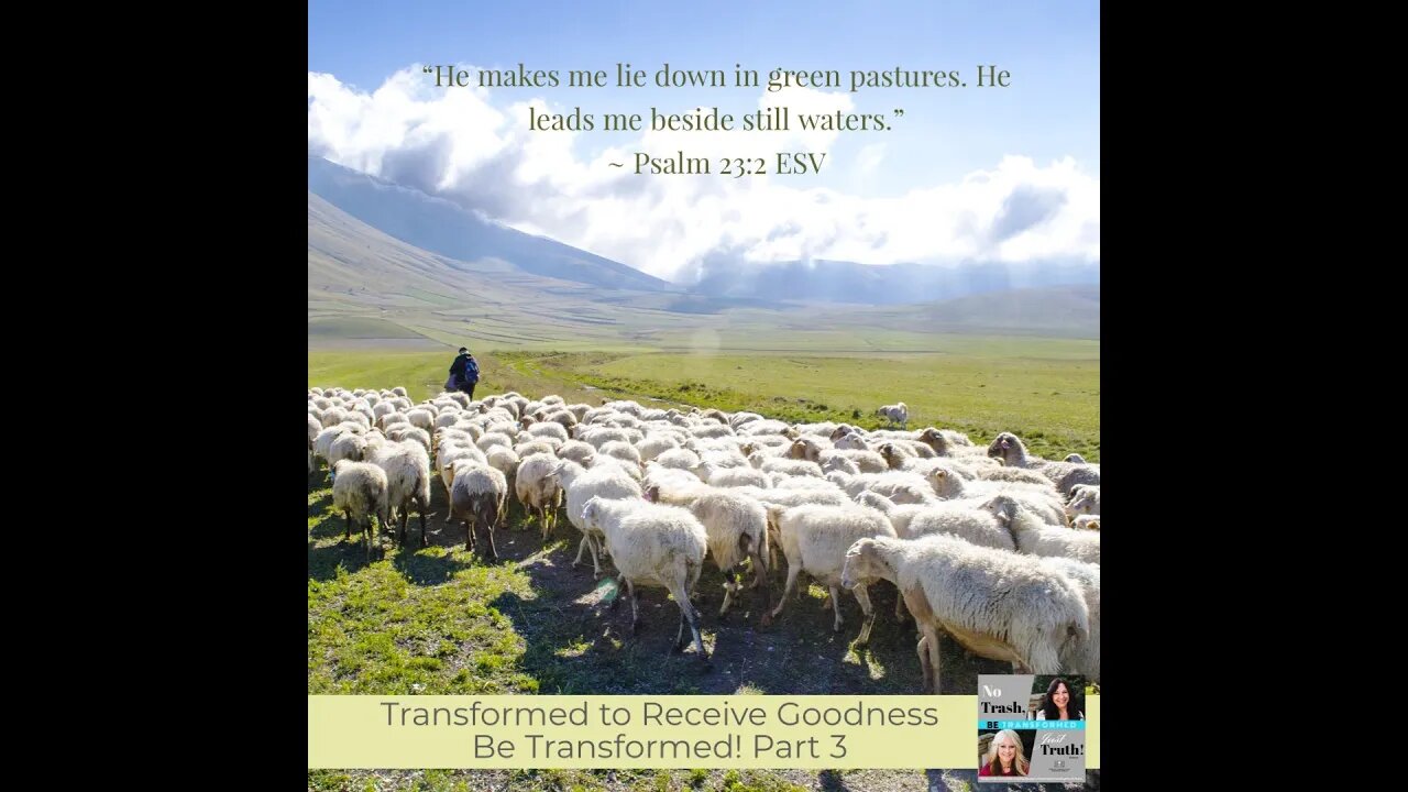 Excerpt from "Transformed to Receive Goodness"