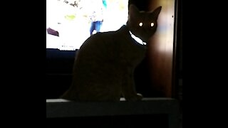 TV Blocker