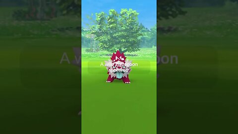Shiny Compilation