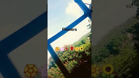 #wow #moreflowers@ ●■ like subscribe my channel wait till end hirreye song types of 💐 💐flowers