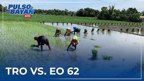 Malalaking agri groups, maghahain na ng TRO sa Korte Suprema vs EO 62 sa Huwebes