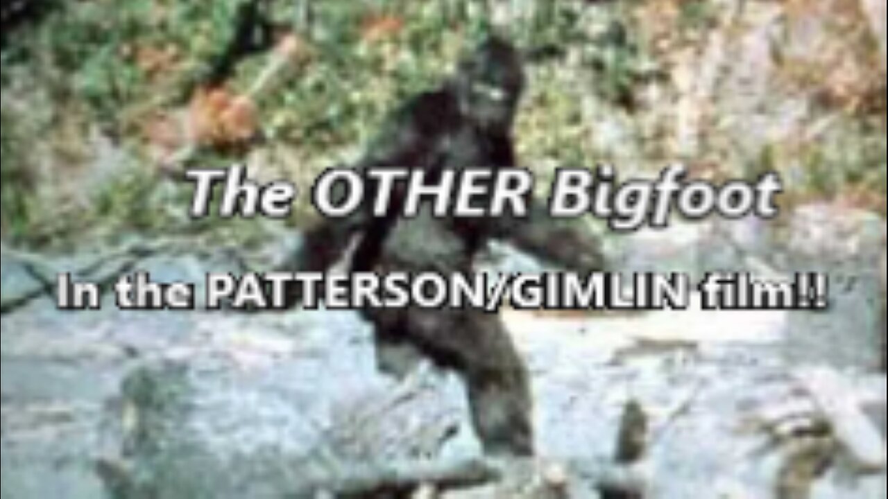 The OTHER BIGFOOT in the Patterson/Gimlin Film ~ WBC #165 / M.k. Davis & Blayne Tyler