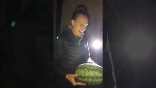 It’s a BABY! 👀#shorts #viral #trending #garden #tiktok