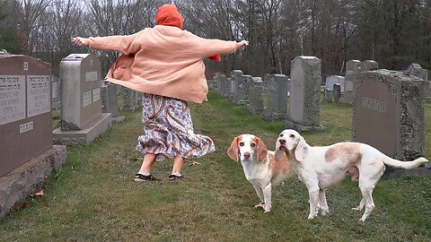 Dogs Find Out True Identity of Serbian Dancing Lady!