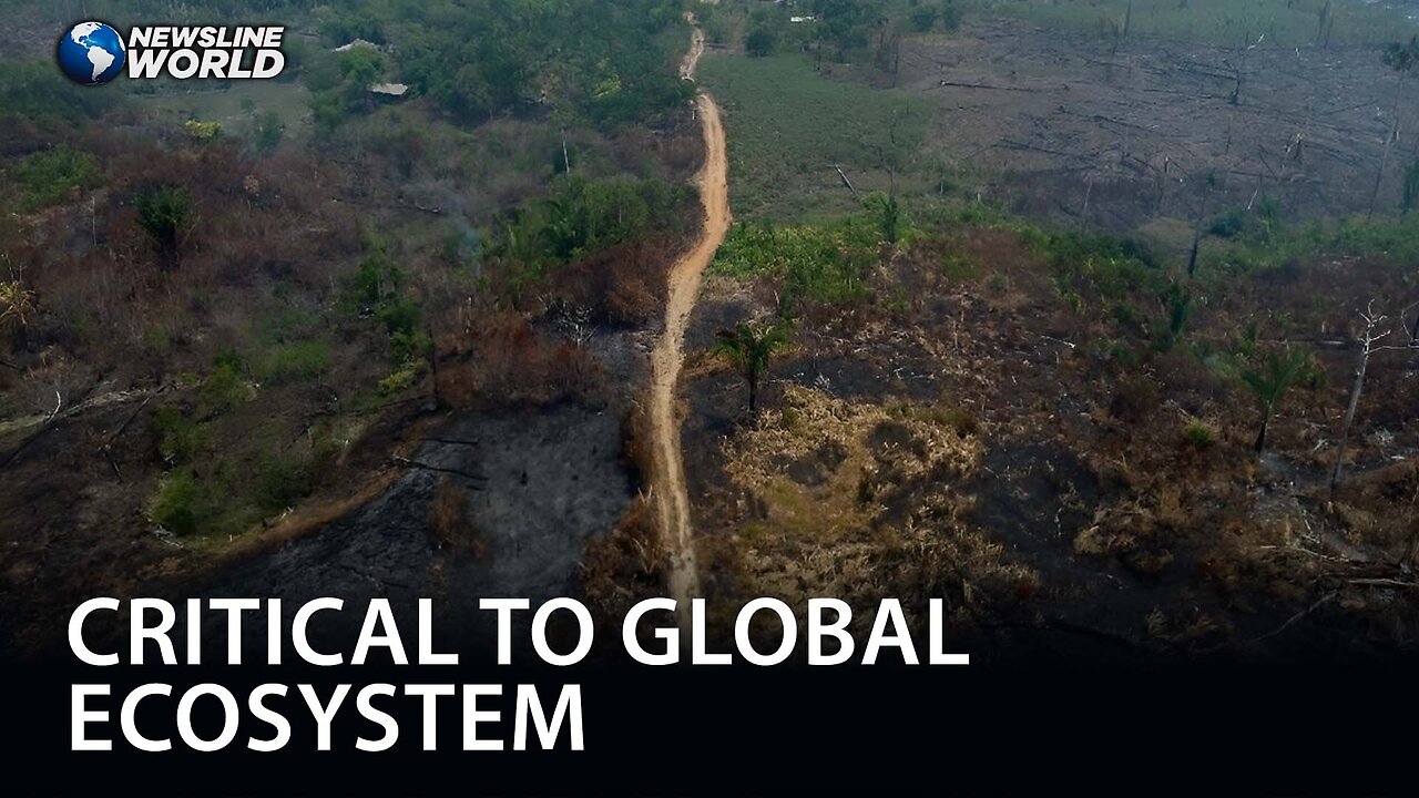 Deforestation in legal Amazon drops to 22.3% in one year