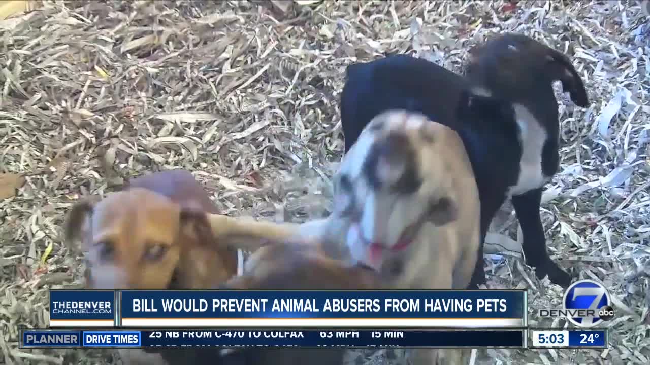 Bill would prevent animal abusers from having pets