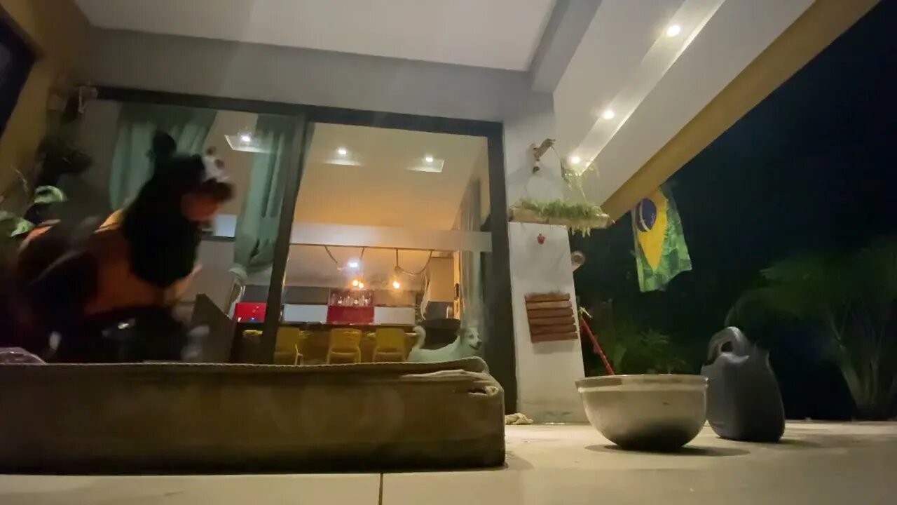 A importância do comando " AAUZZ " ( soltar de imediato ) em uma situação extrema .... rsrrs
