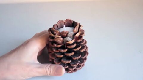 DIY - Pine Cone Ideas