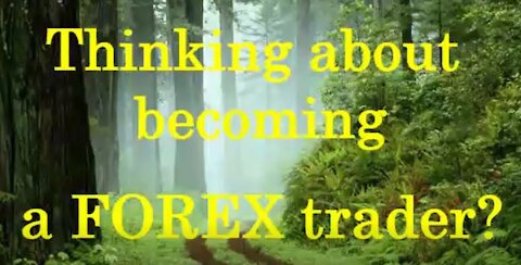 Thinking about becoming a FOREX trader?