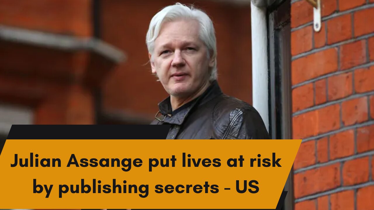 Julian Assange put lives at risk by publishing secrets US