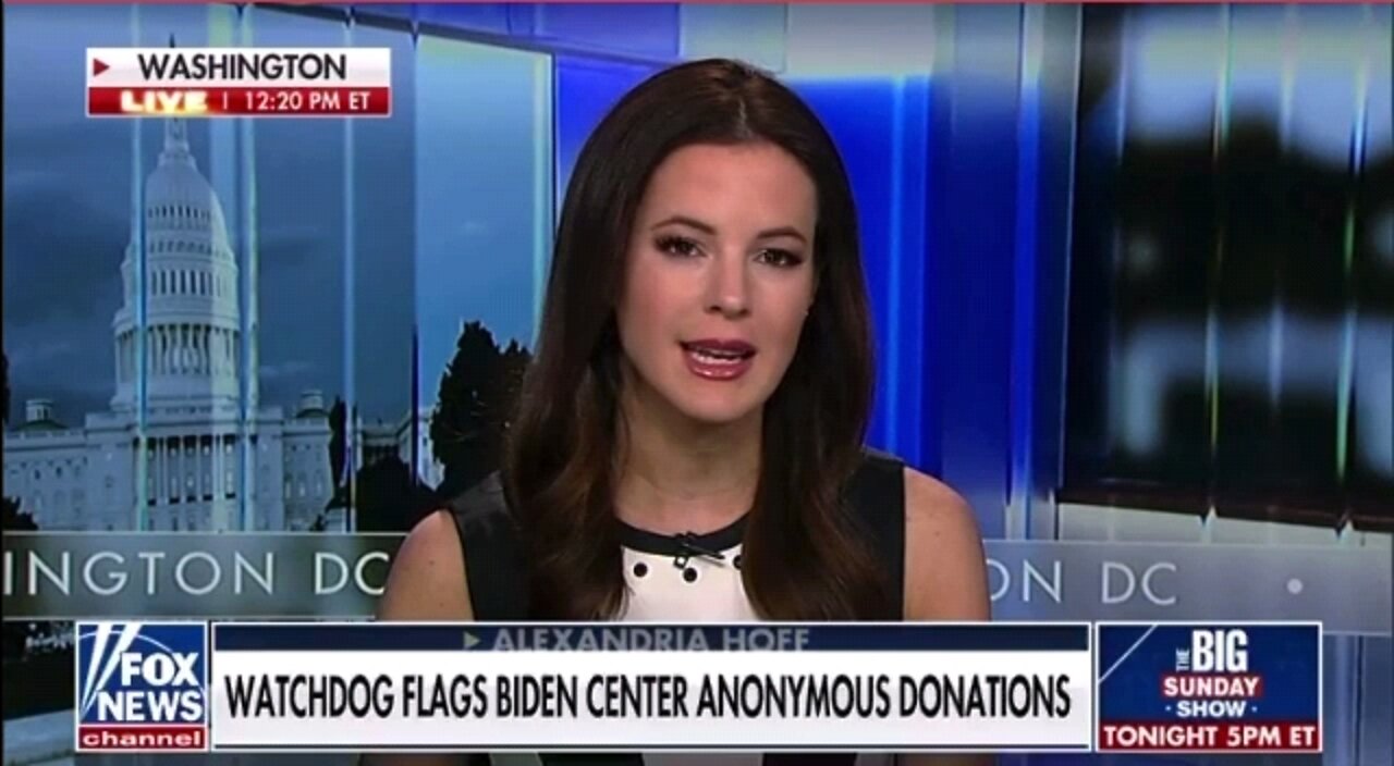 Alexandria Hoff speaks about WATCHDOG group which FLAGS Hunter Biden anonymous donations