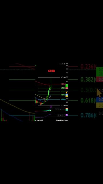 Shiba Inu to the MOON?!🚀