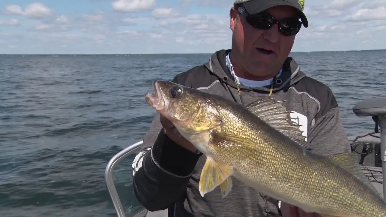 Trolling for Big Mille Lacs Walleyes