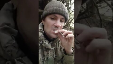 fish dinner #survival