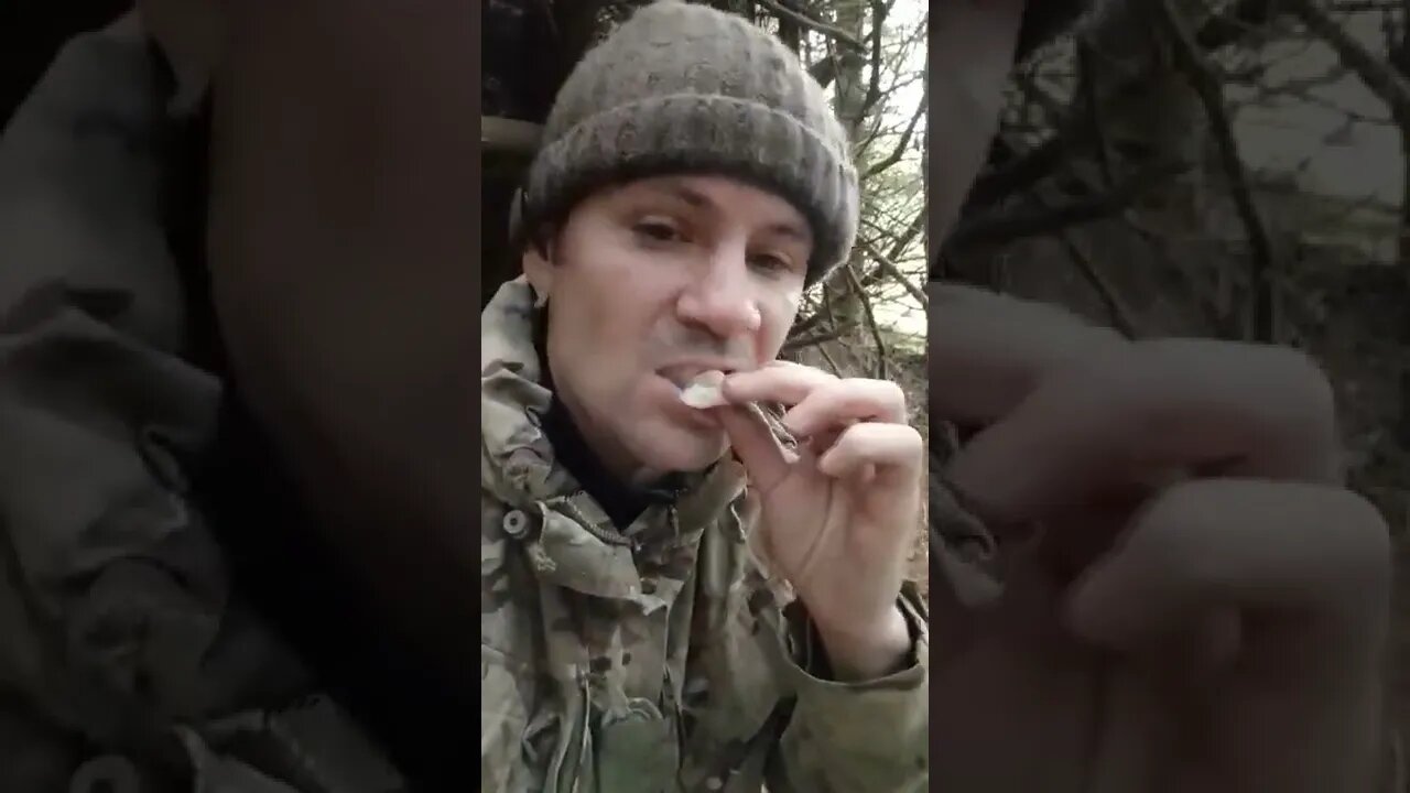 fish dinner #survival