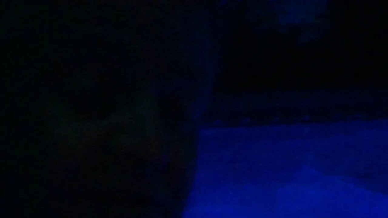 #bblive1969's Live broadcast water aerobics class