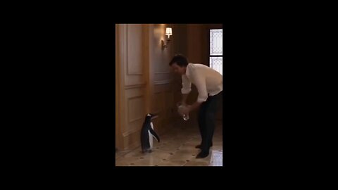 Funny video