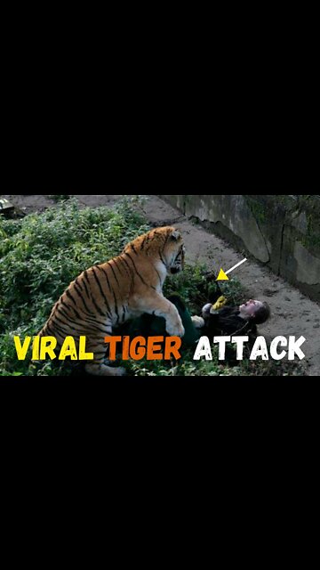 The Number one Funny Video in the World.Viral video.