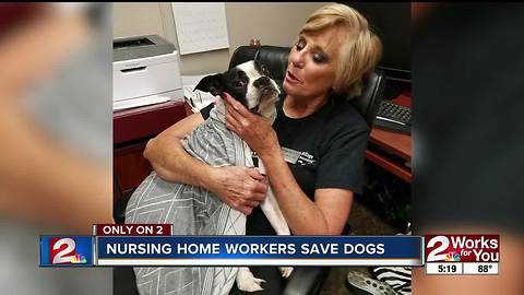 Nursing home workers save dogs