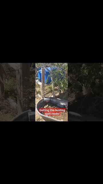 Getting the hunting spot ready!