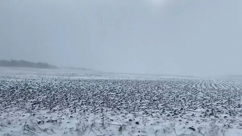 Great Lakes Blizzard of 2022: Blowing snow in Kalamazoo County, Michigan