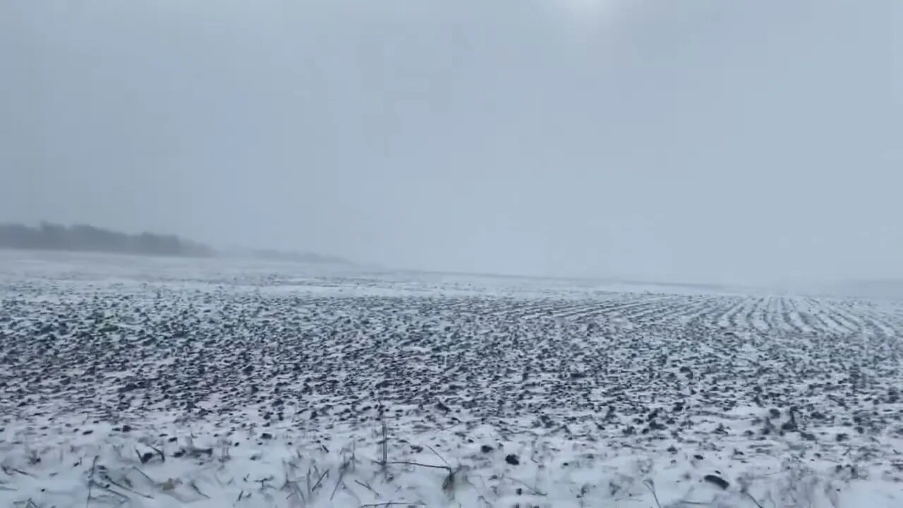 Great Lakes Blizzard of 2022: Blowing snow in Kalamazoo County, Michigan