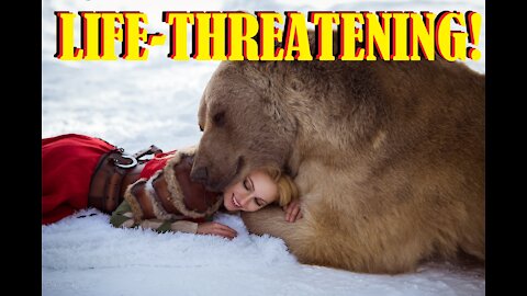 Russian girl feeds a bear in the forest