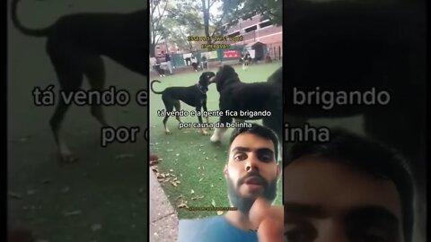 EXPLICANDO A POLÍTICA BRASILEIRA #shorts