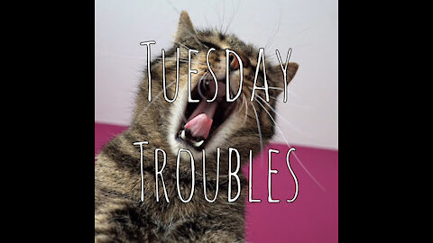 Tuesday Troubles with Mr. Mission Control