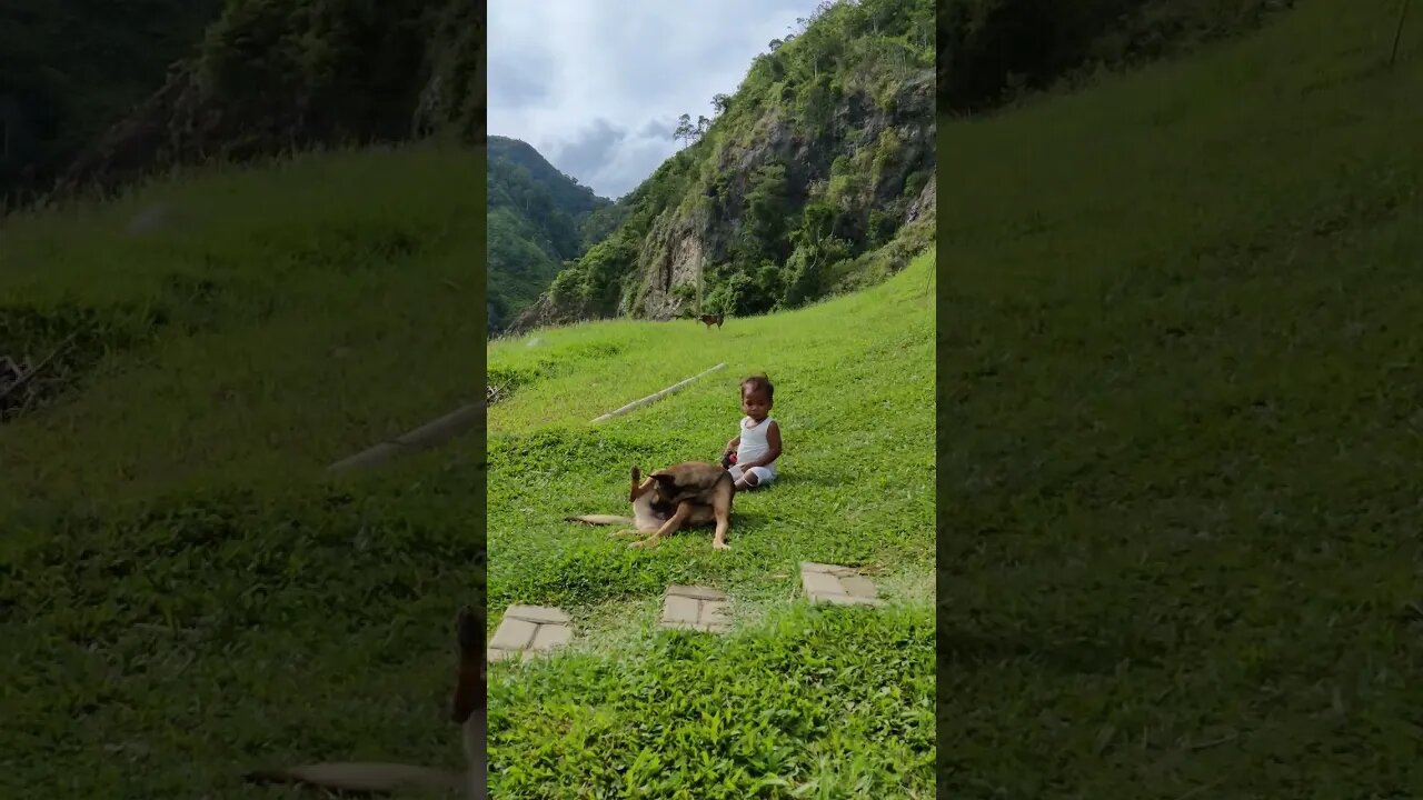 Lumad Kid & Dog #bukidnon #philippines #walkingtour #lumad #bukid #bukidfeels #bukit