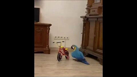 There's A New Boss In The House