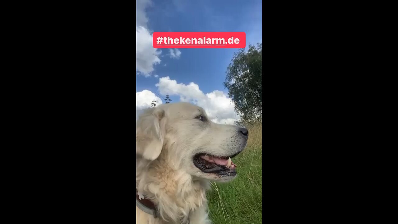 SO LÄUFT‘s