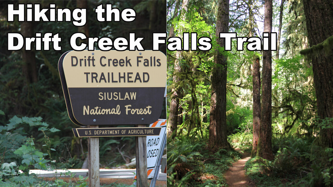 Drift Creek Falls North Trail Hike back to trailhead - August 2021 Coast Trip