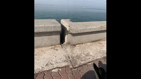 See sides