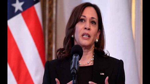 Republicans Introduce Resolution to Remove Harris From Role as Border Czar