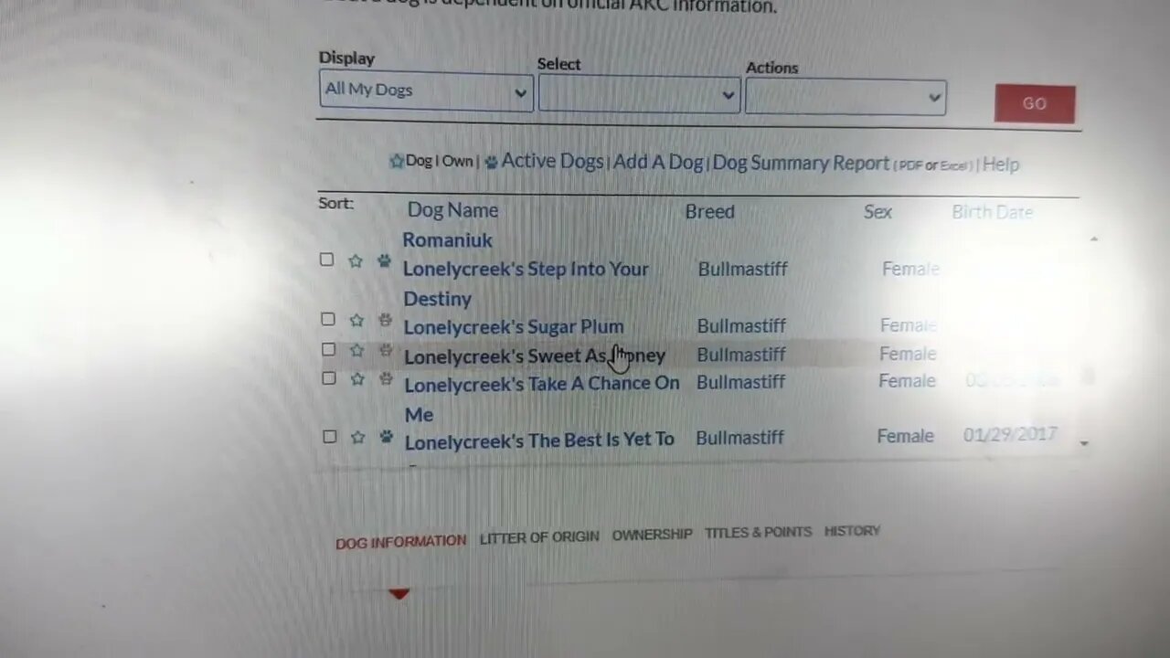 From my AKC website dogs I have owned or Coe owned
