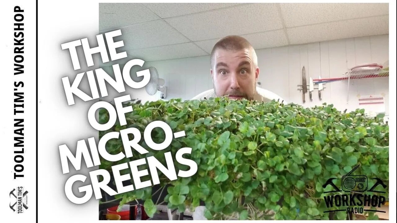 311. THE KING OF MICRO-GREENS - JON DOWIE DROPS BY FOR A RANT