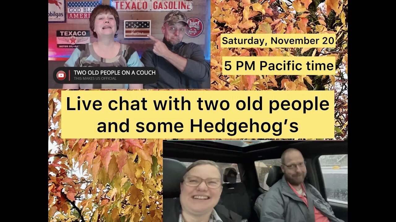 Live with two old people and some Hedgehog's