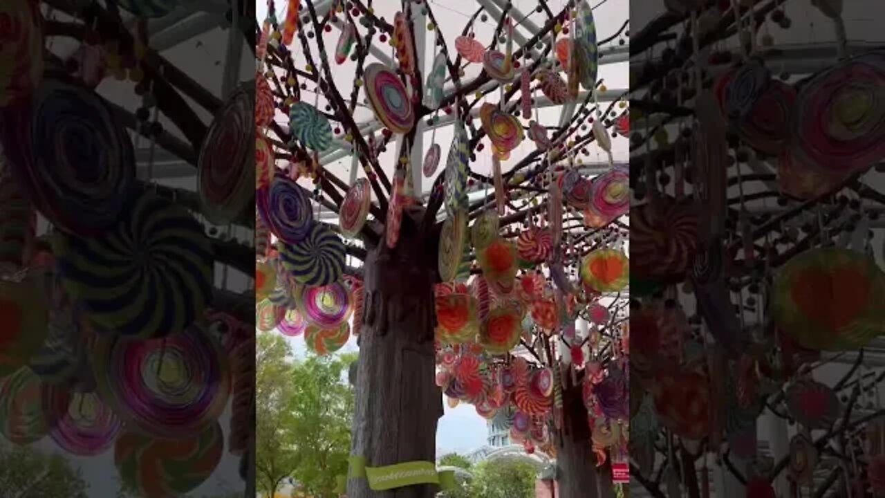 Singapore in 15 Seconds 🇸🇬