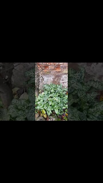 No better time than in the now...